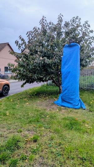 Boží muka - restaurátorské práce